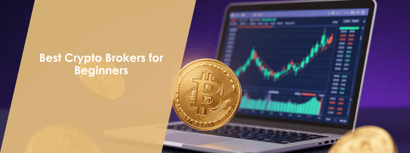Best Crypto Brokers for Beginners Main Banner Image