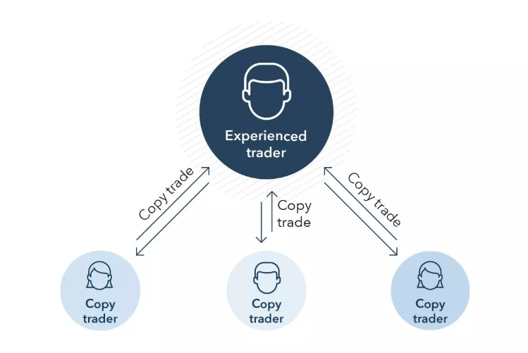 Copy Trading and Social Trading Support