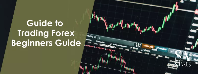 Guide to Trading Forex Beginners Guide - Main Banner-min