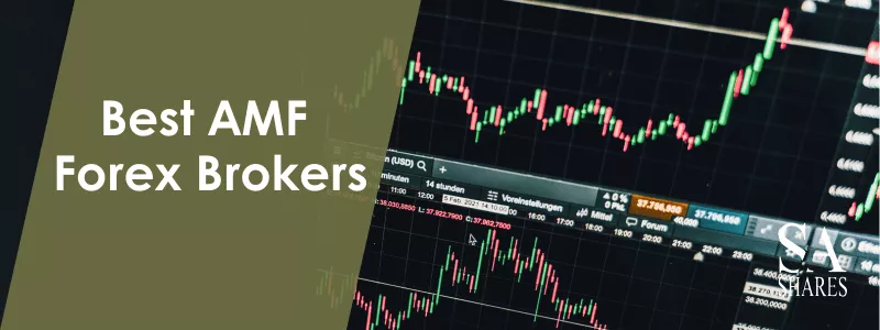 Best AMF Forex Brokers Main Banner Image