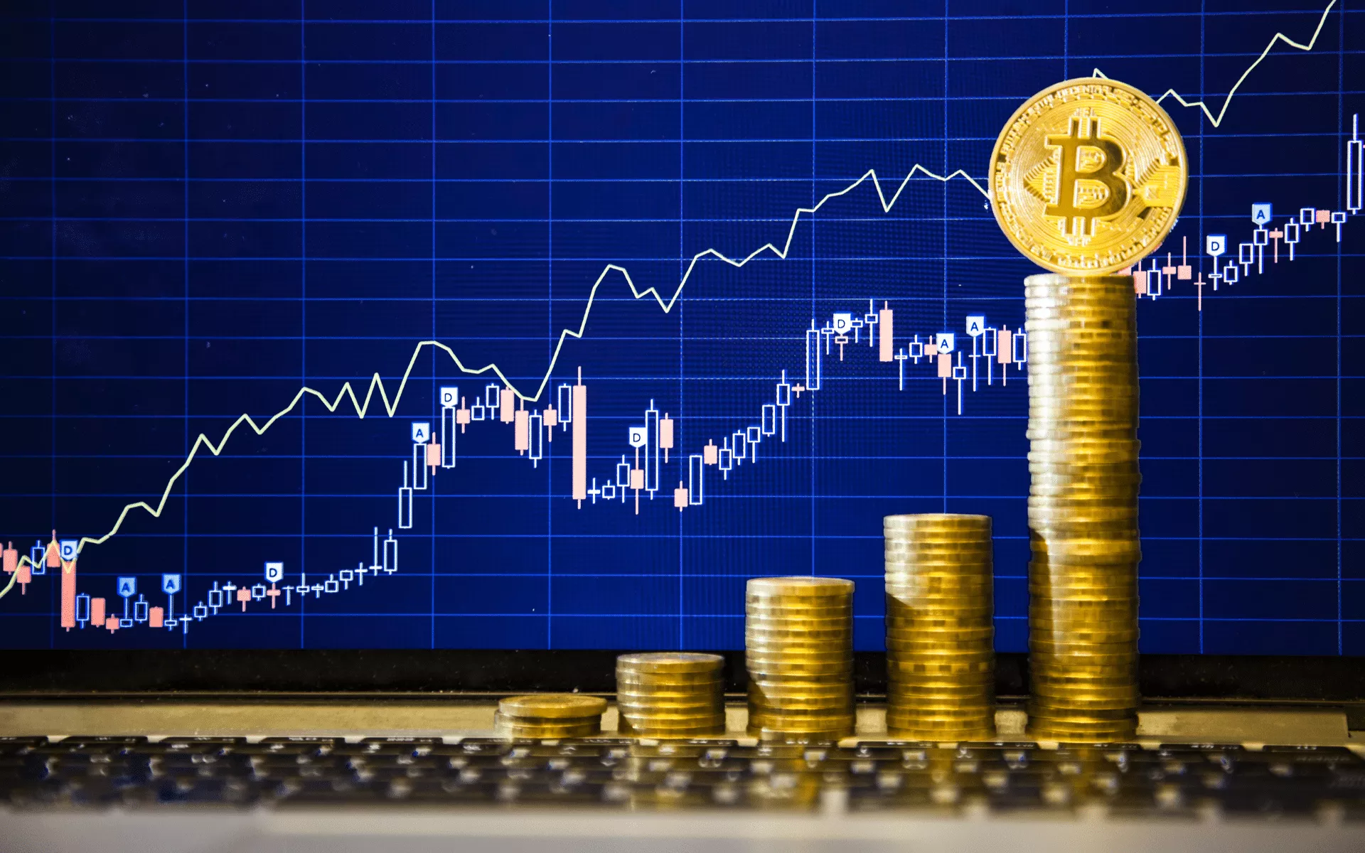 HODL Bitcoin