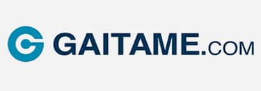 A review about Gaitame