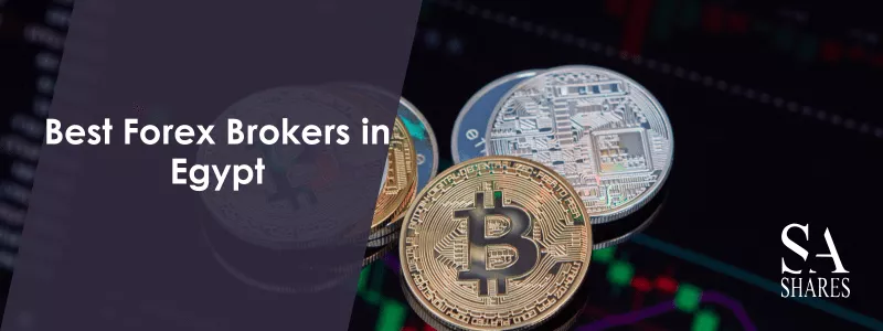 Best Forex Brokers in Egypt - Main Banner-min