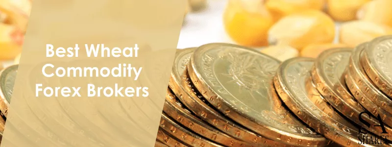 Best Wheat Commodity Forex Brokers - Main Banner-min
