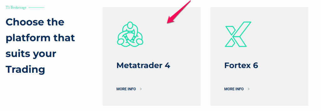 MetaTrader 4 (MT4)