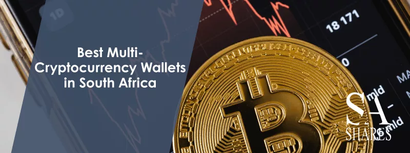 Best Multi-Cryptocurrency Wallets in South Africa - Main Banner