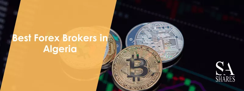 Best Forex Brokers in Algeria - Main Banner-min
