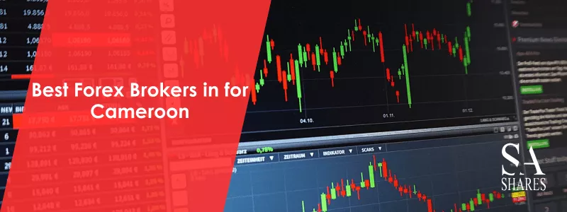 Best Forex Brokers in for Cameroon - Main Banner-min