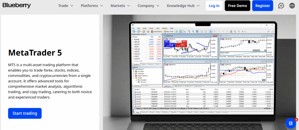 Understanding the MT5 workspace and layout