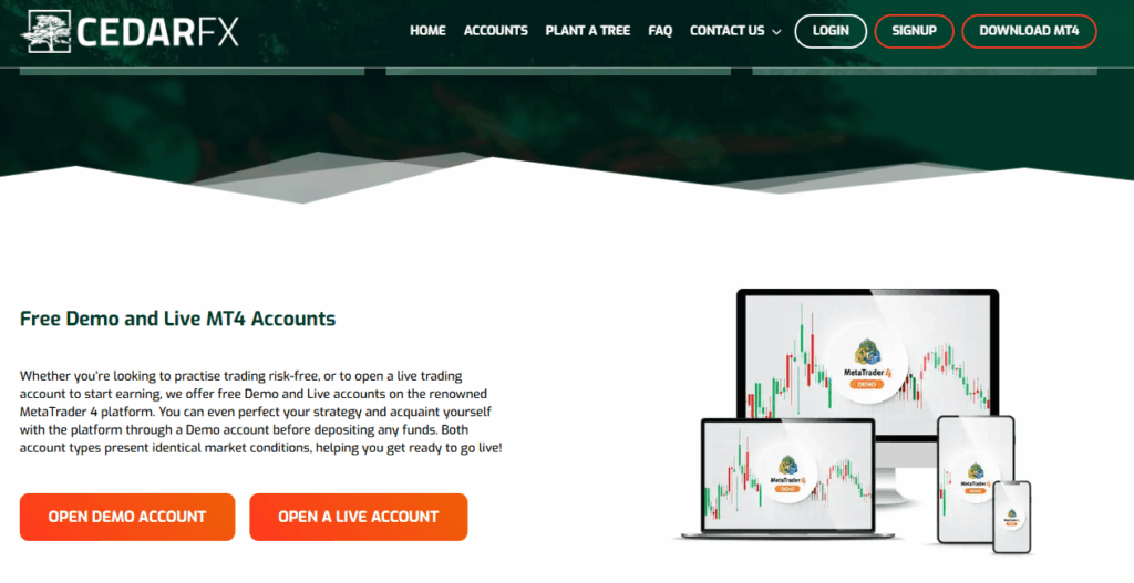 MetaTrader 4 (MT4)