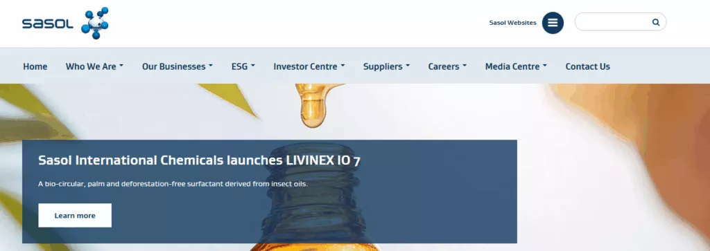 Sasol Ltd&nbsp;