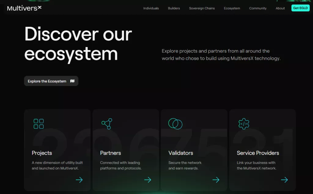 Developer Ecosystem and Tooling