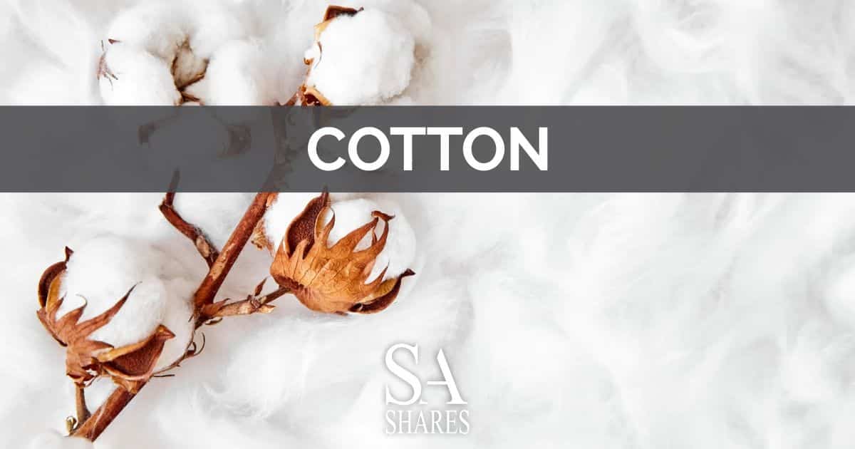 Cotton Price Today View Live Price South Africa ☑️ (2025)