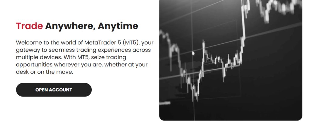 MetaTrader 5 (MT5)