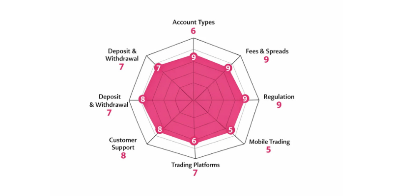 10X Investments Spider Chart